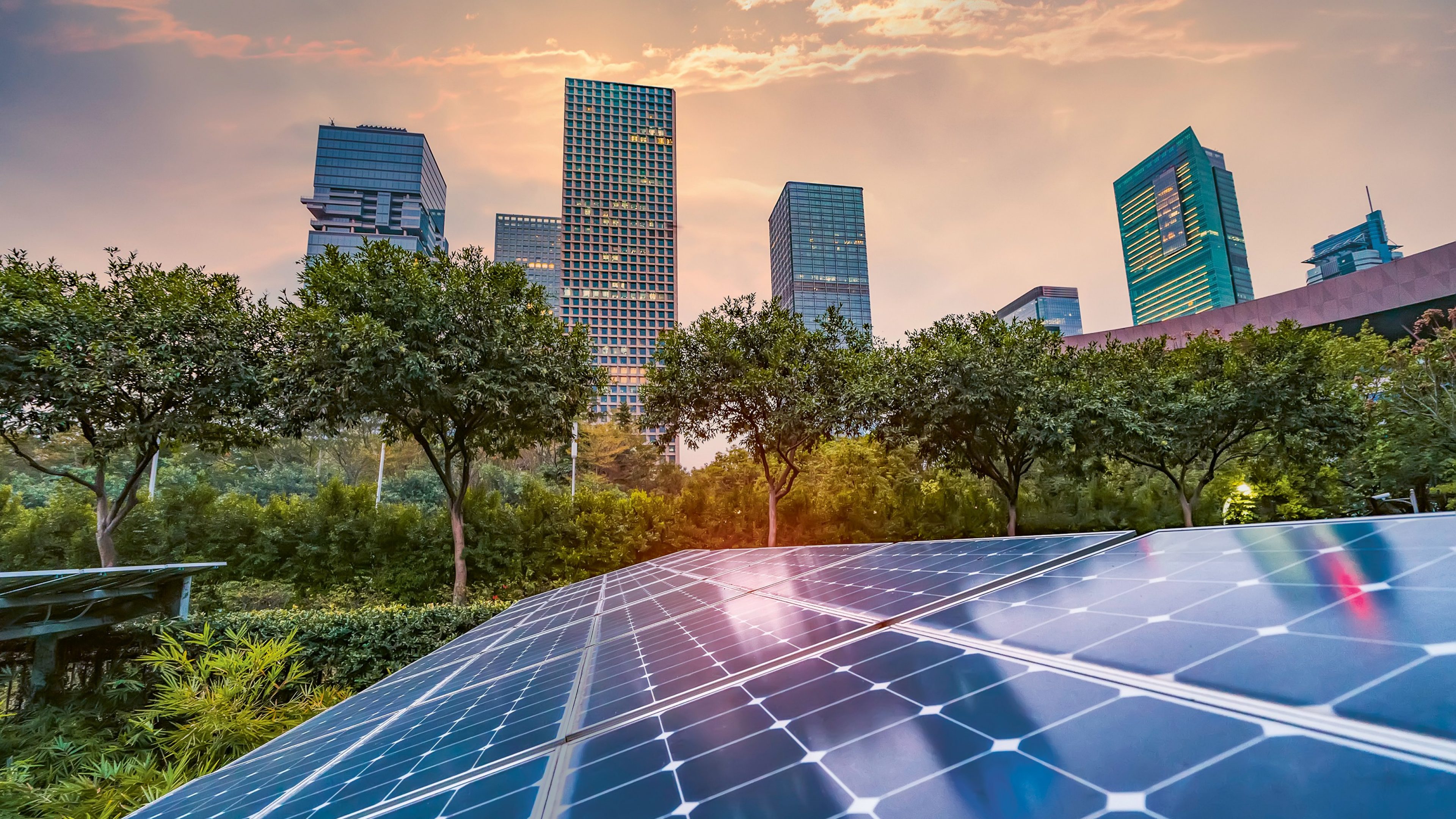 Eine Solaranlage mit Bäumen und Gebäuden im Hintergrund.