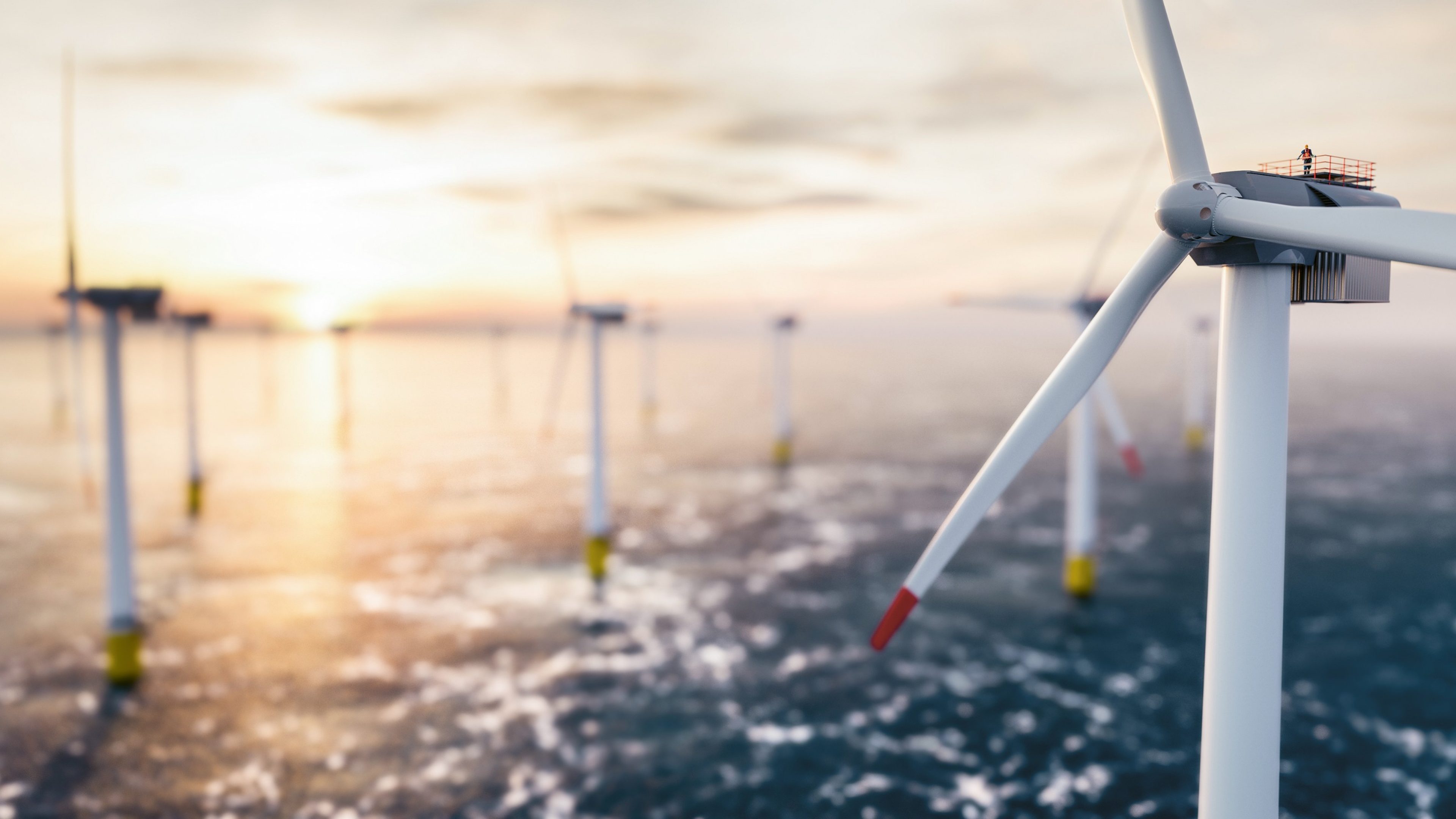 Windräder die im Meer stehen bei einem Sonnenuntergang.
